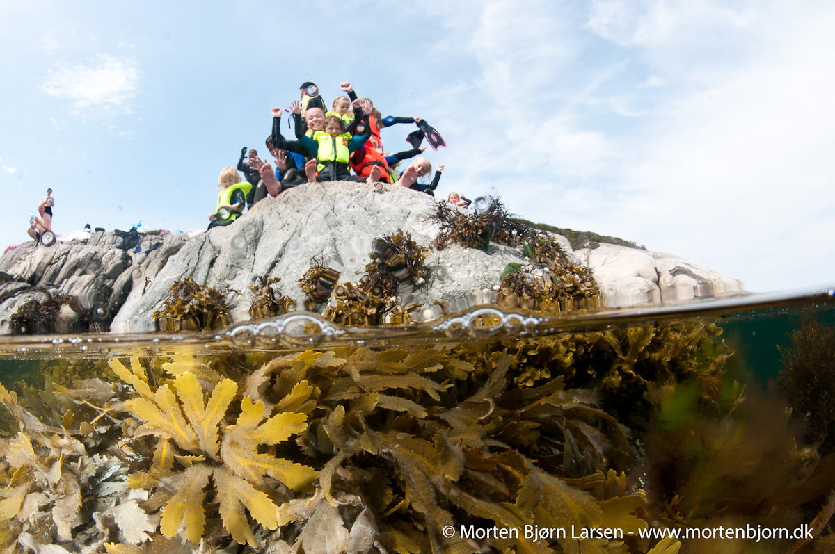 Bring the family on a dive vacation