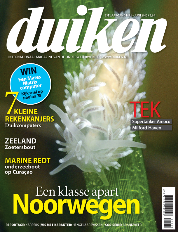 Duiken Gulen June 2012 0